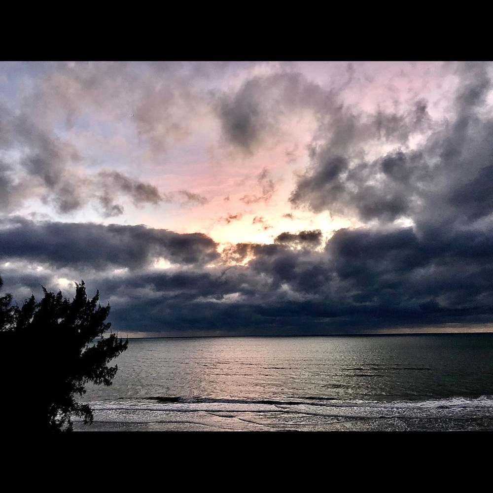 Meet your Posher, Craig